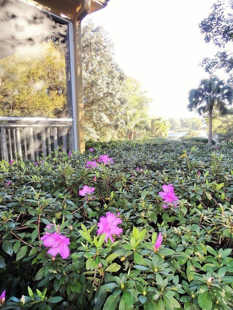 Thurston House Altamonte Springs Exterior foto